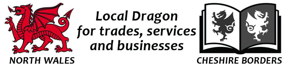 Local Dragon Logo 2022
